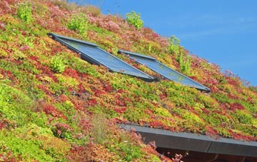 Somercotes living roof systems